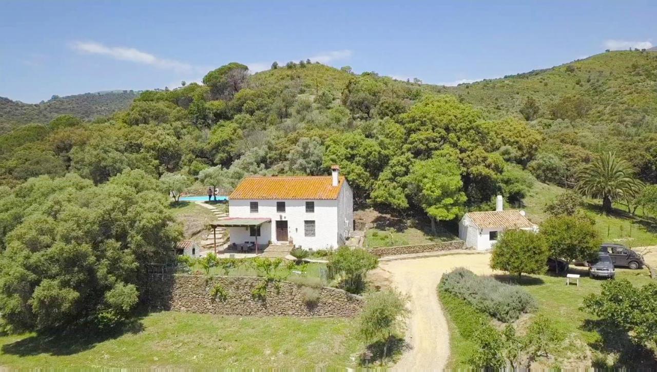 Finca Sta Teresa, Casa Grande Эстепона Экстерьер фото