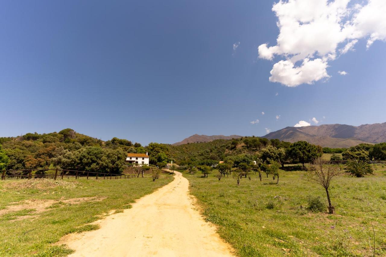 Finca Sta Teresa, Casa Grande Эстепона Экстерьер фото