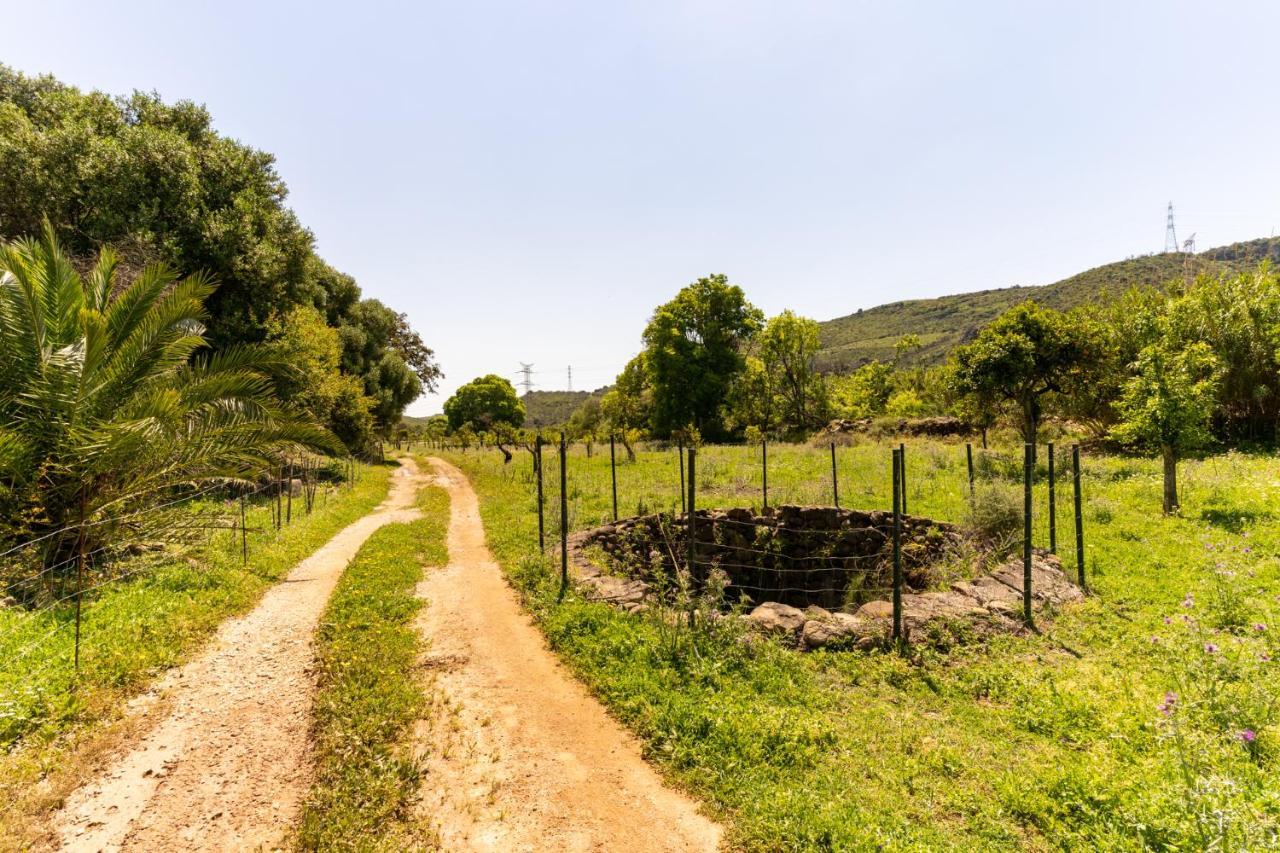Finca Sta Teresa, Casa Grande Эстепона Экстерьер фото