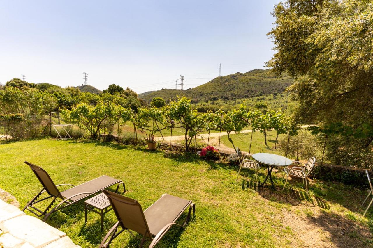 Finca Sta Teresa, Casa Grande Эстепона Экстерьер фото