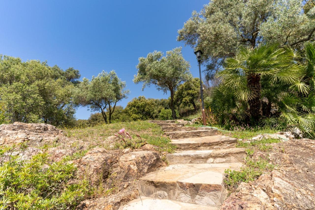 Finca Sta Teresa, Casa Grande Эстепона Экстерьер фото