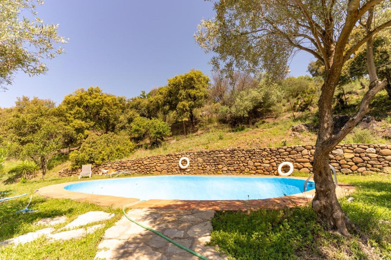 Finca Sta Teresa, Casa Grande Эстепона Экстерьер фото