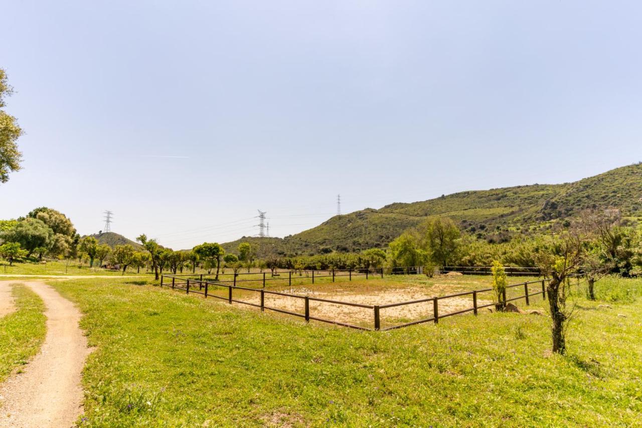 Finca Sta Teresa, Casa Grande Эстепона Экстерьер фото