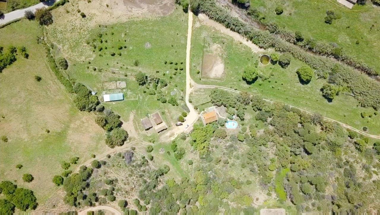 Finca Sta Teresa, Casa Grande Эстепона Экстерьер фото