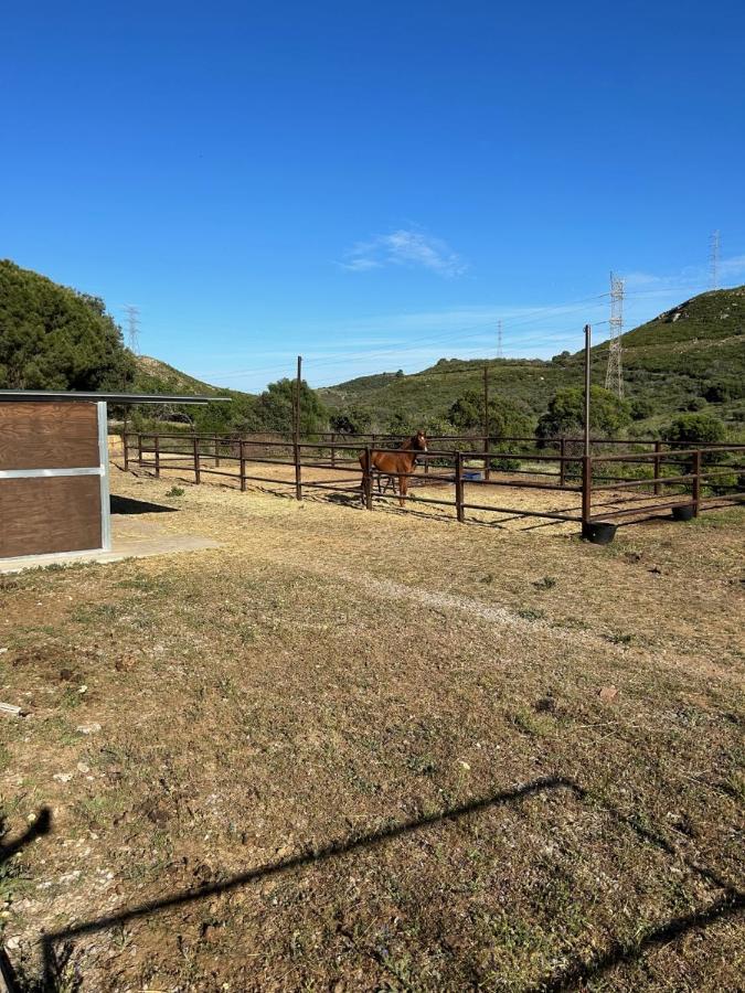 Finca Sta Teresa, Casa Grande Эстепона Экстерьер фото