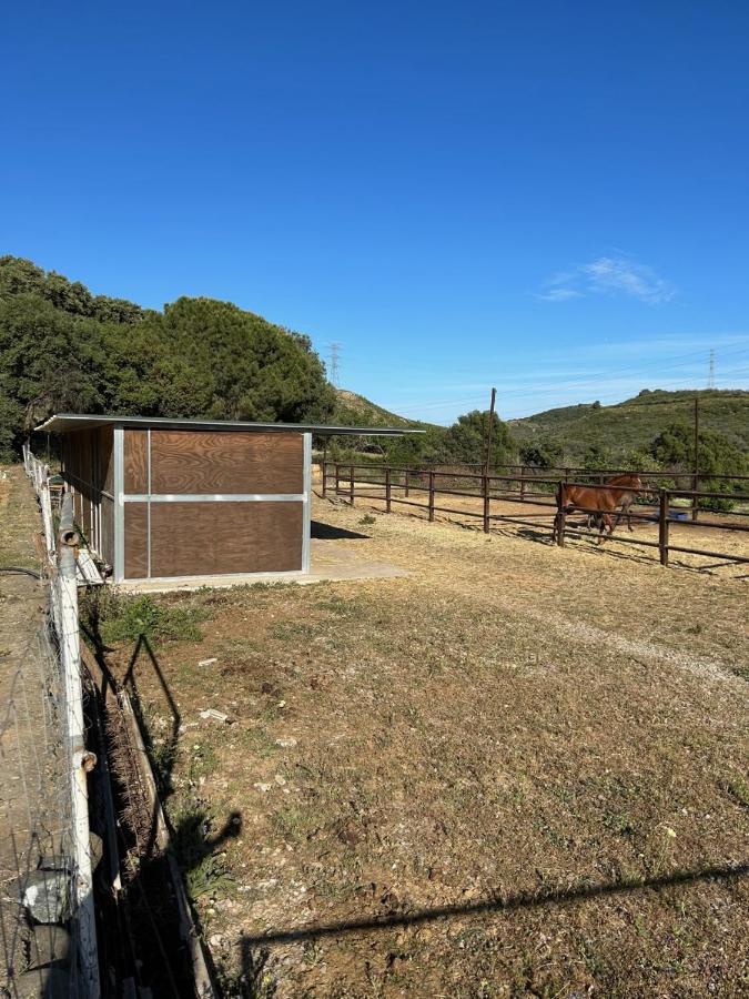 Finca Sta Teresa, Casa Grande Эстепона Экстерьер фото