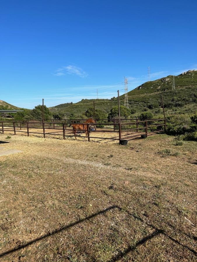 Finca Sta Teresa, Casa Grande Эстепона Экстерьер фото