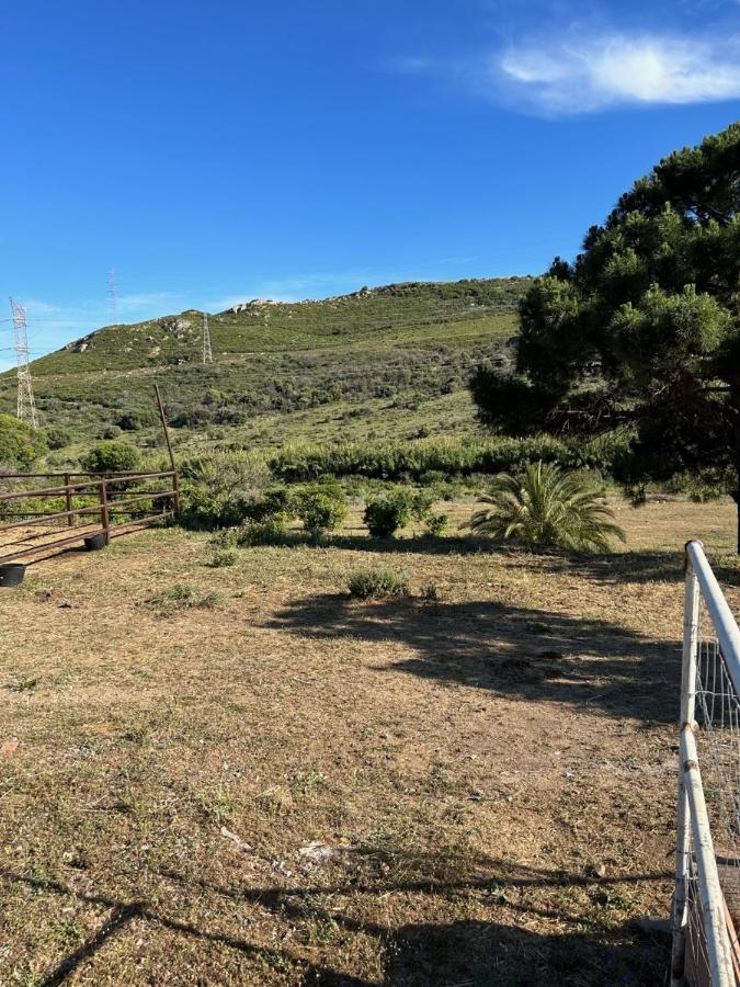 Finca Sta Teresa, Casa Grande Эстепона Экстерьер фото